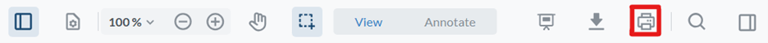 Selecting print option